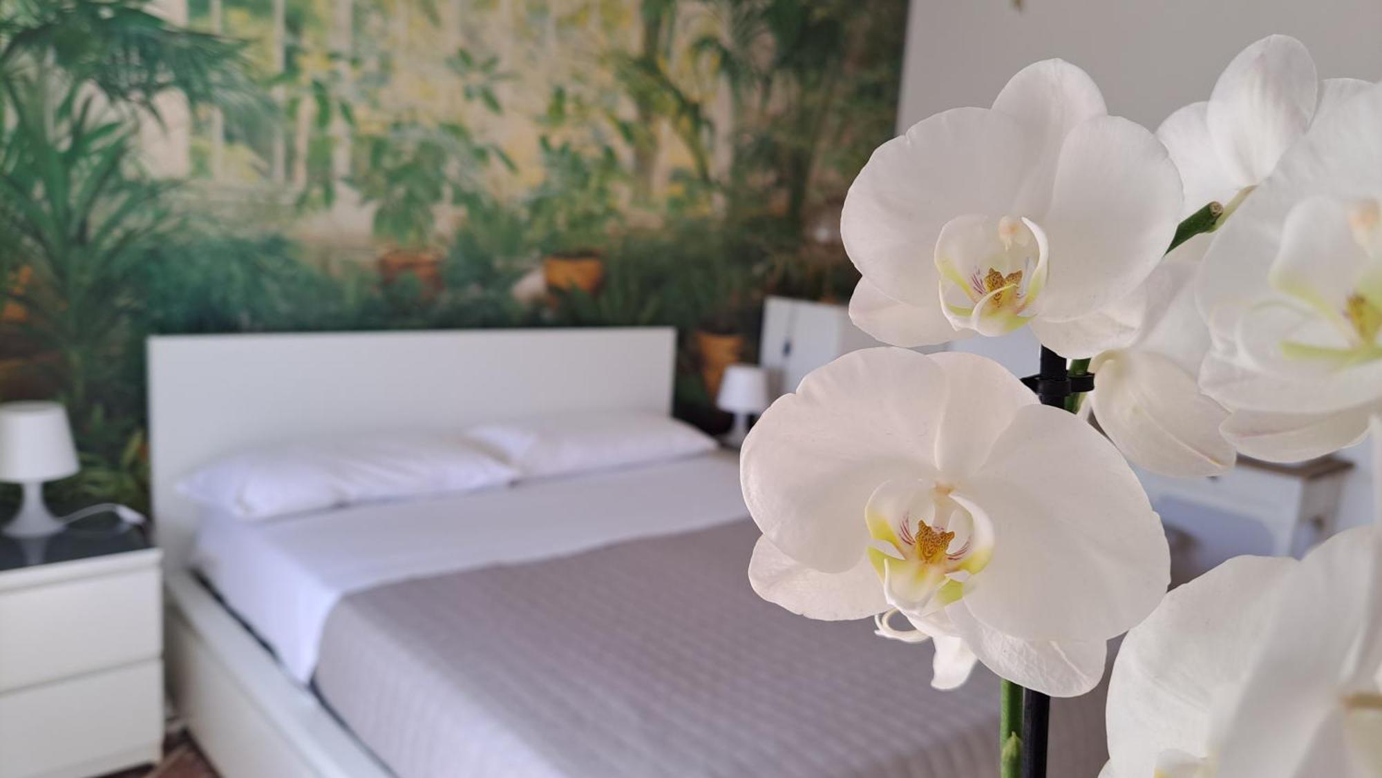 Appartamento Roma Citta Giardino 外观 照片
